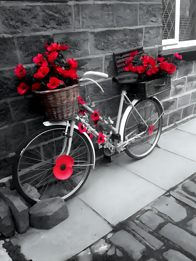 Poppies On A Bike