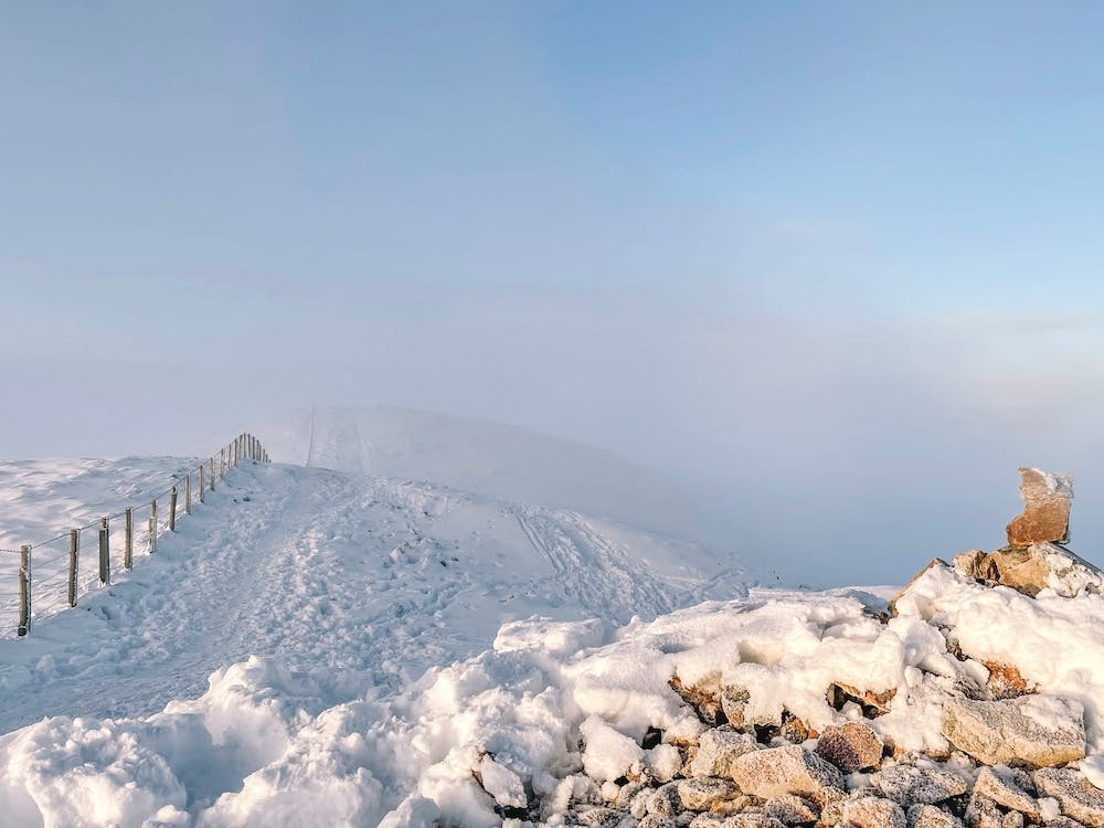 Schneebedecktes Moor
