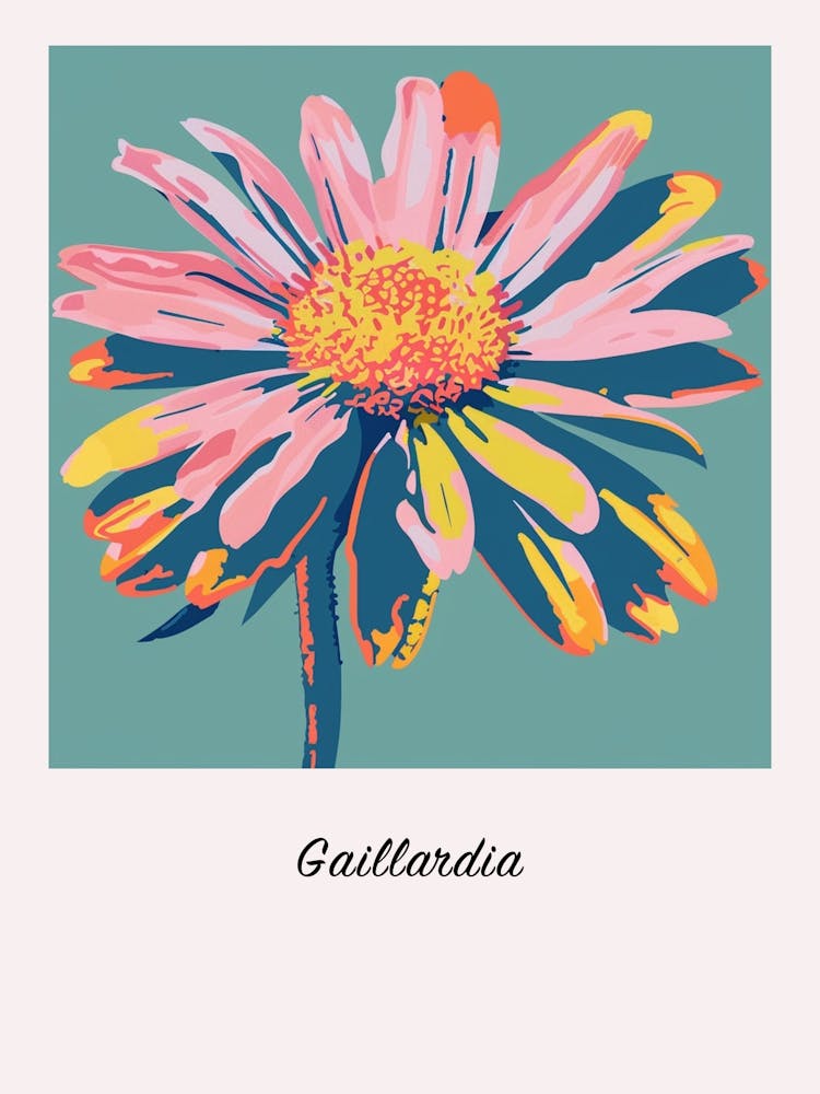 Gaillardia 1 Square Flower Illustration Poster