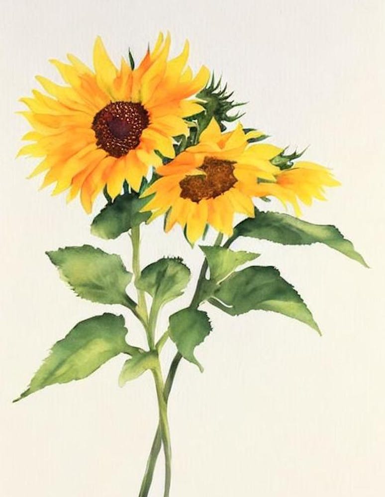 Sunflower Vintage Flowers Flower