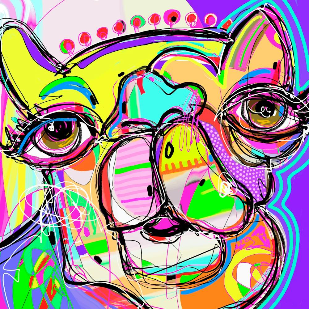 Colorful Mule Pop
