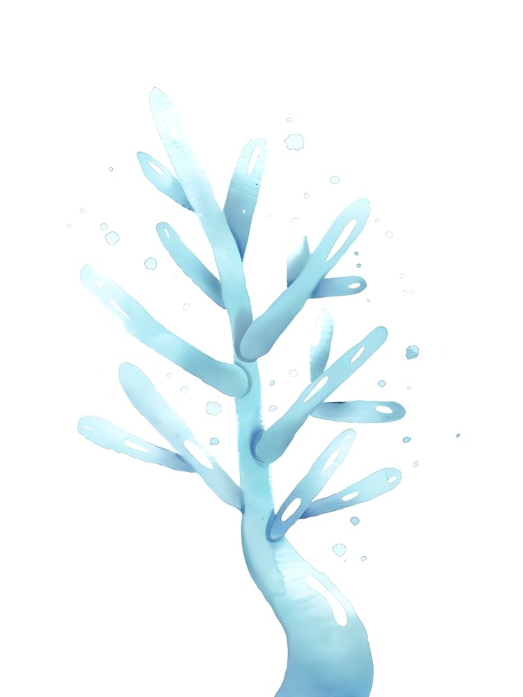 Water Tree