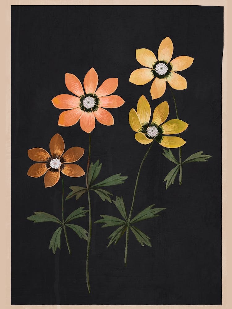 Abstract Floral & Botanical Art 1