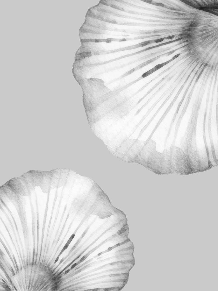 Mushroom Leaves