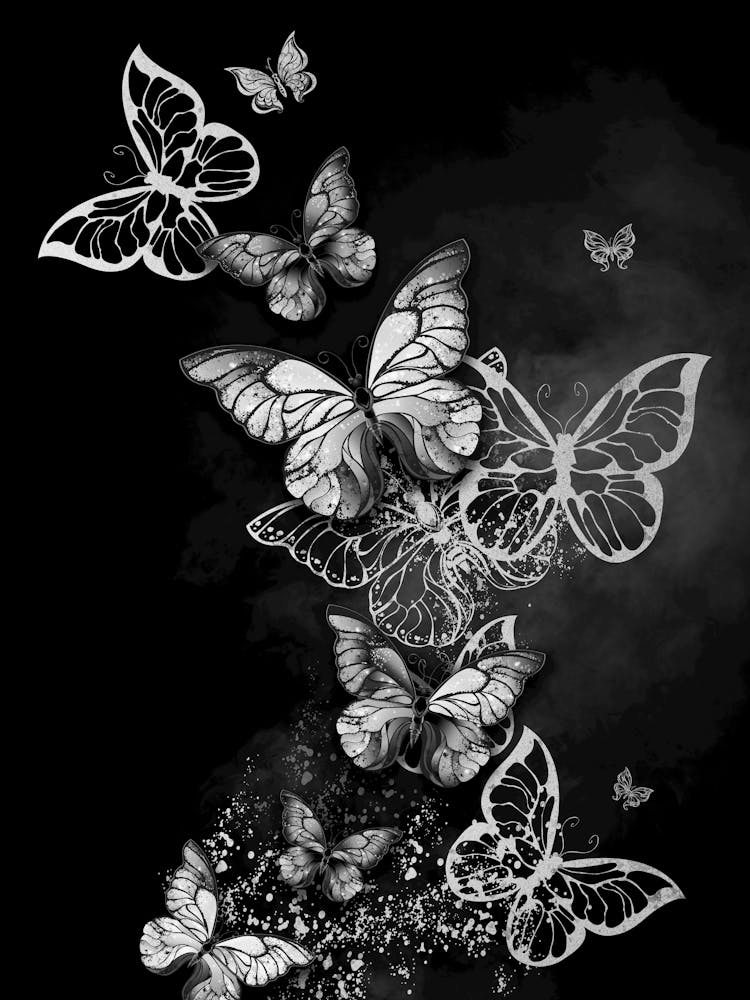 Butterflies On A Black Background