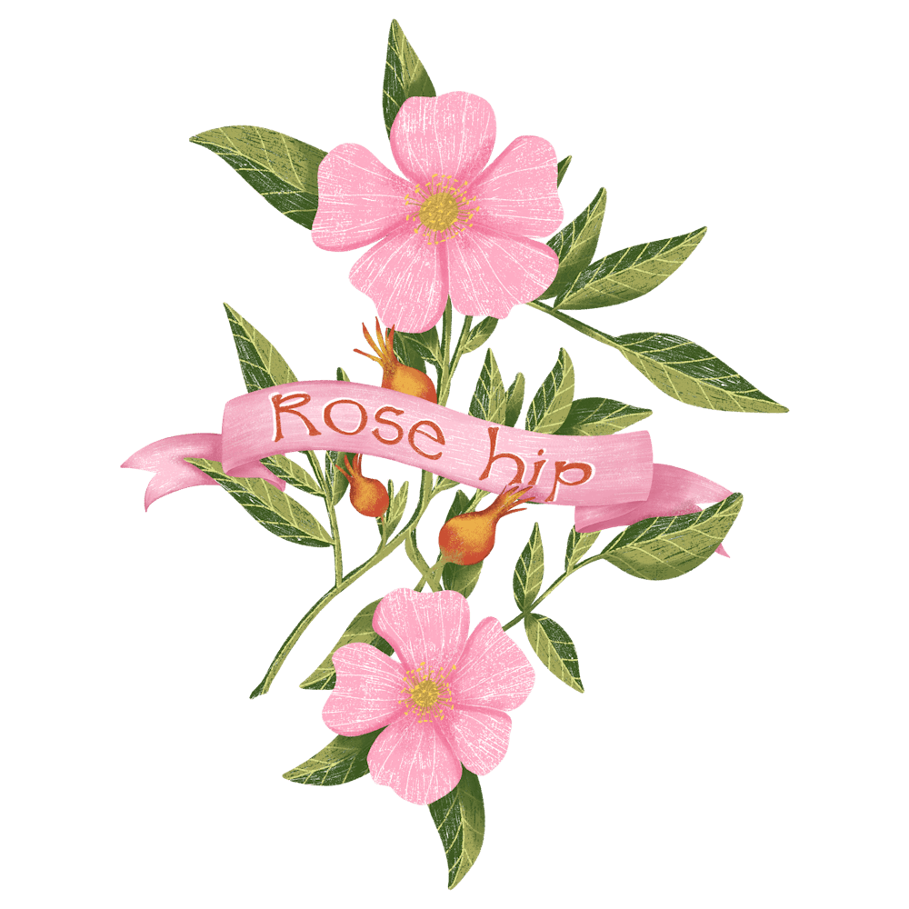 Rosehip pink flower