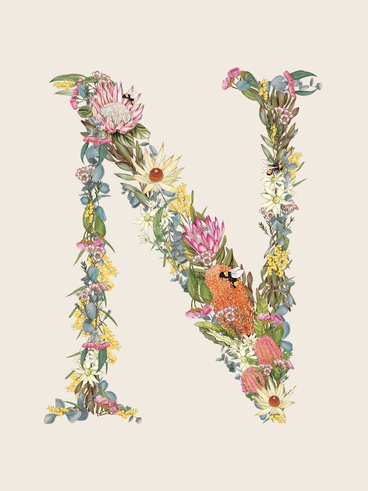 N Oat Alphabet Letter