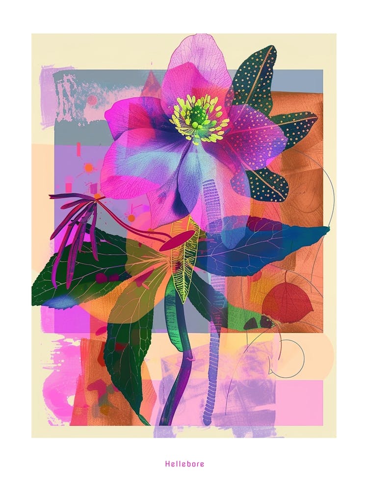 Hellebore 3 Neon Flower Collage Poster