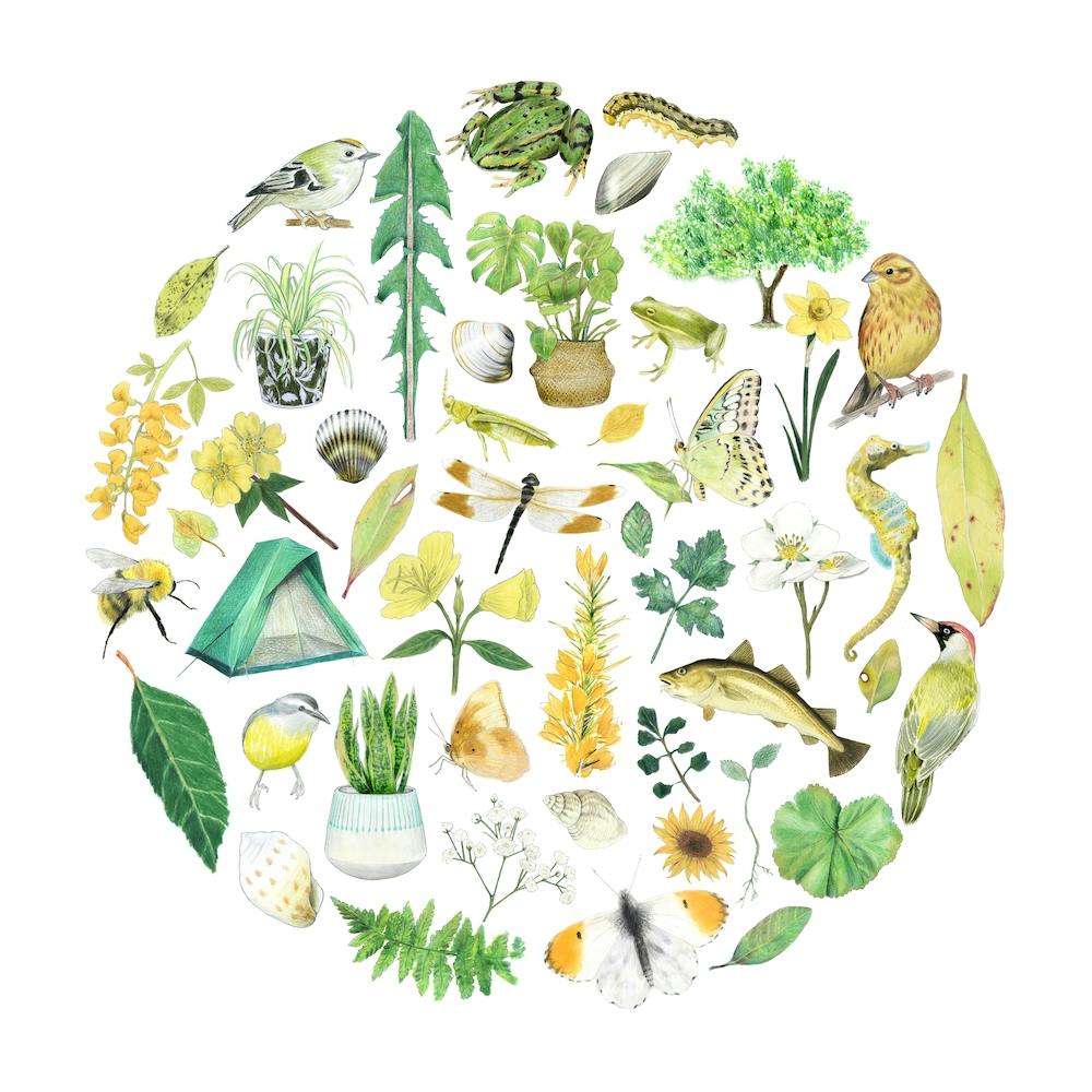 Spring Circle Square