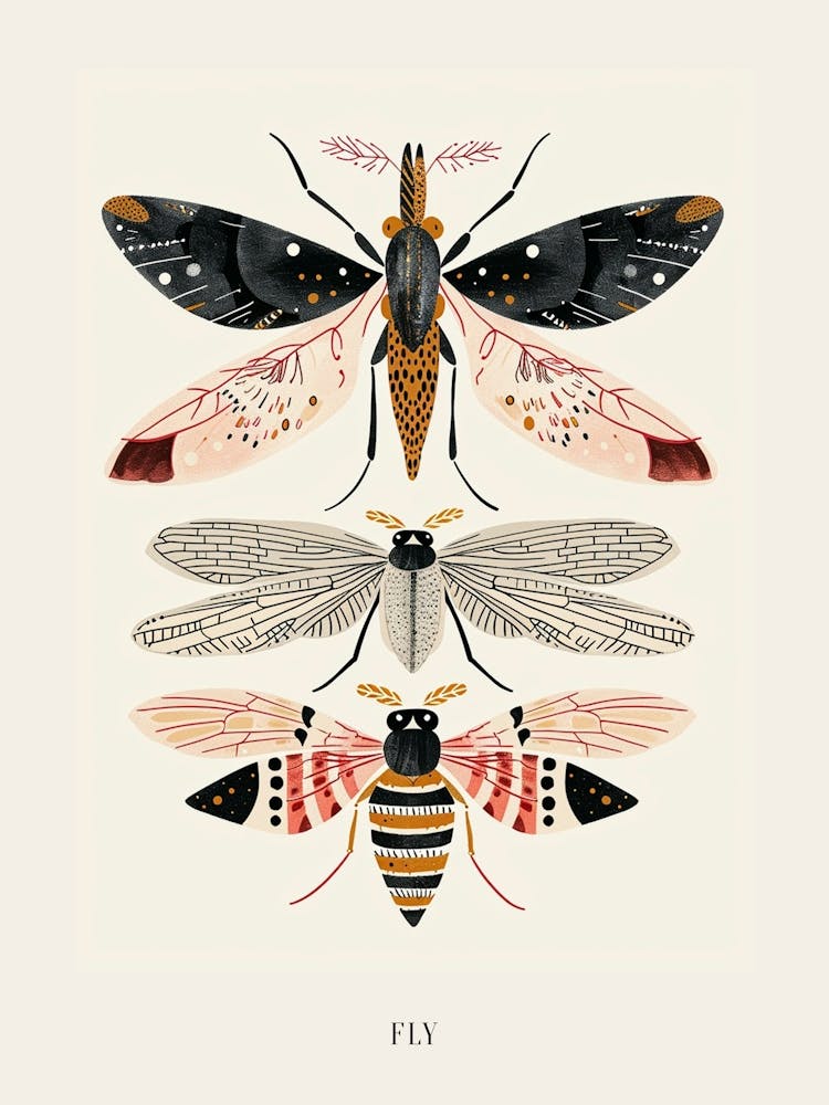 Colourful Insect Illustration Fly 7 Poster