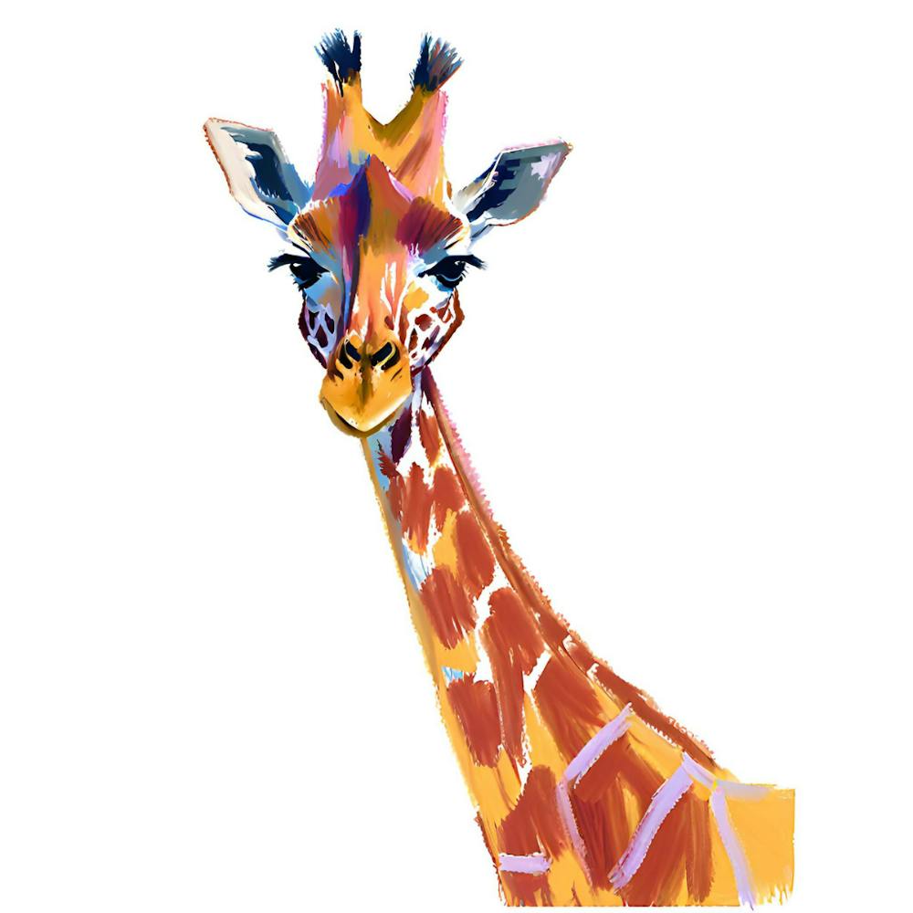 Southern Giraffe 03