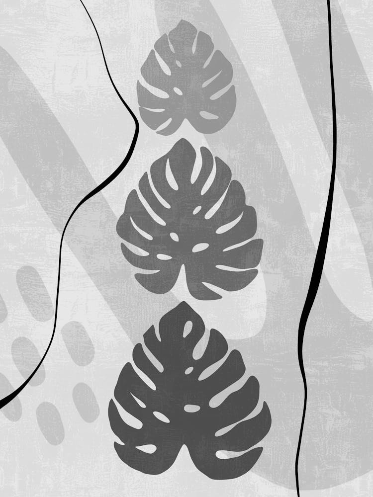 Monstera Leaves 1