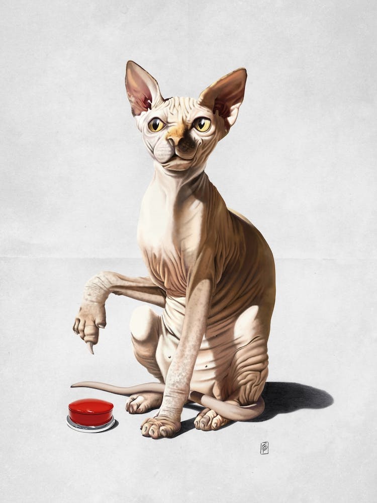 Cat-astrophe (Wordless)