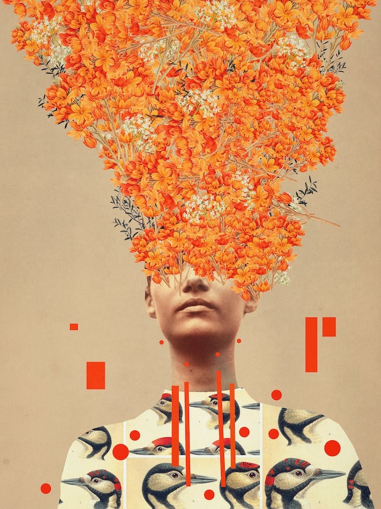 Bird Flight In Autumn