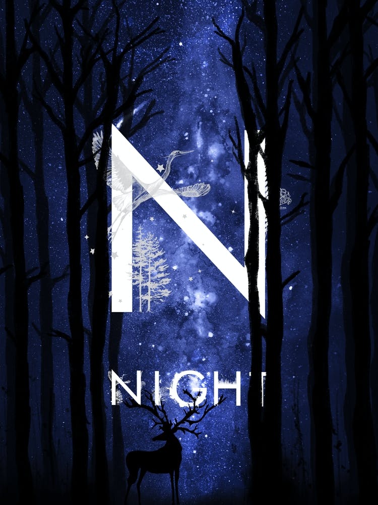 Night - Starry Night and Moon #13