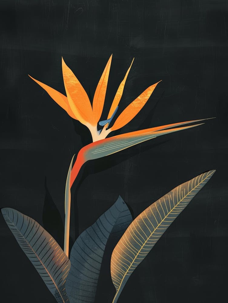 Bird Of Paradise 17