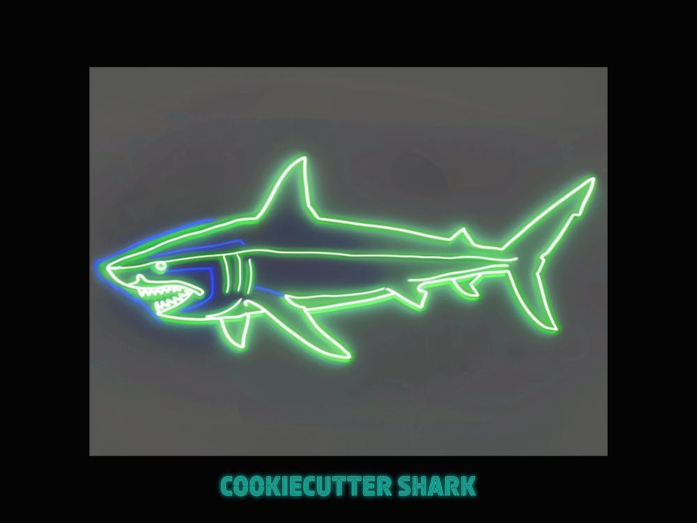 Neon Green Cookiecutter Shark Poster