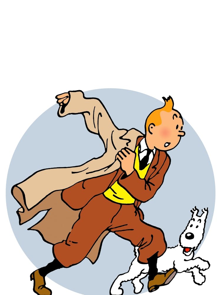 The Adventures Of Tintin (3)