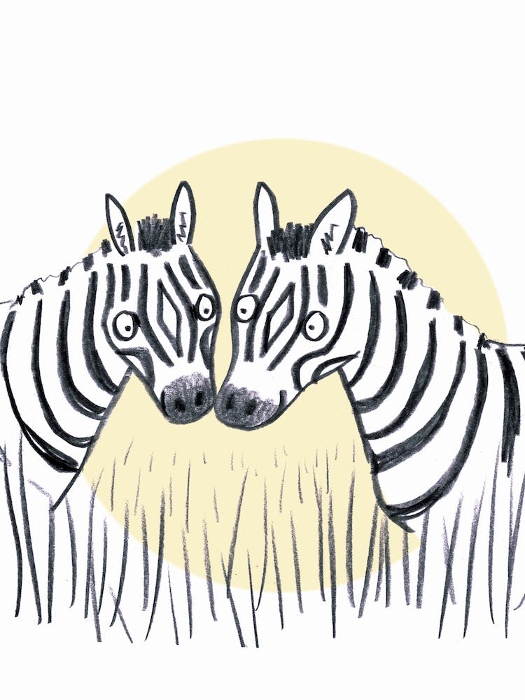 Zebras In Love
