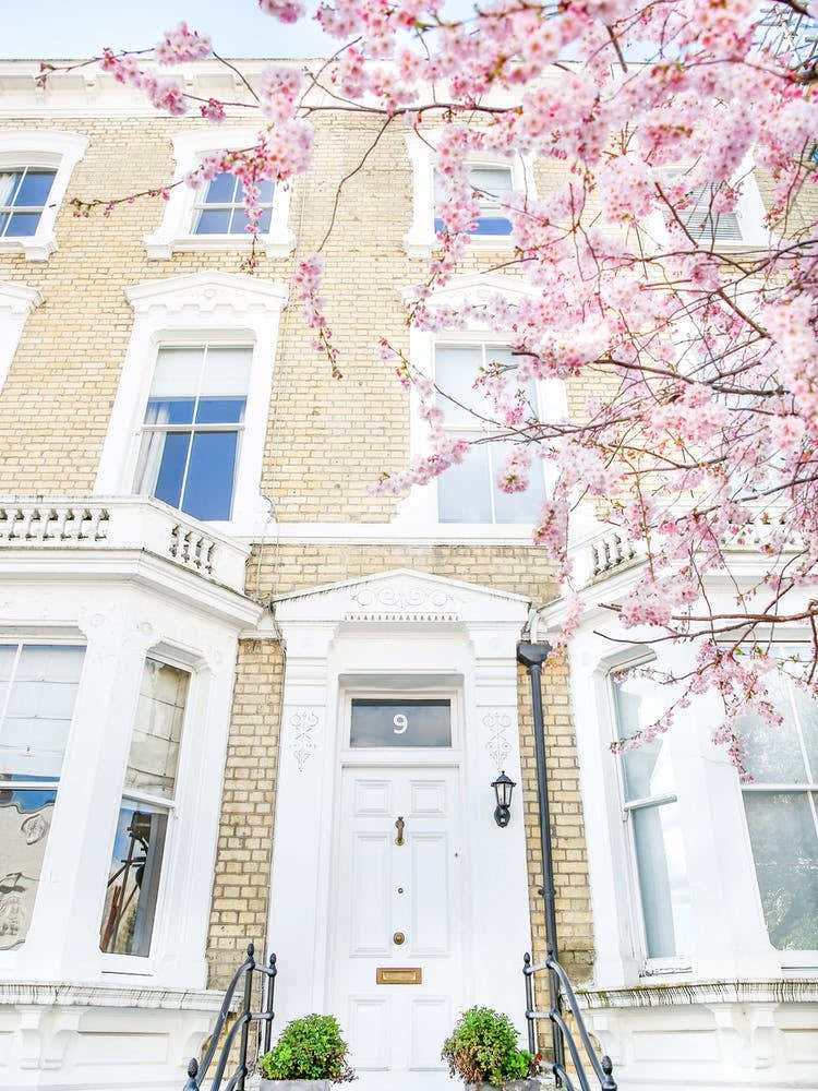 Pink White London Springtime