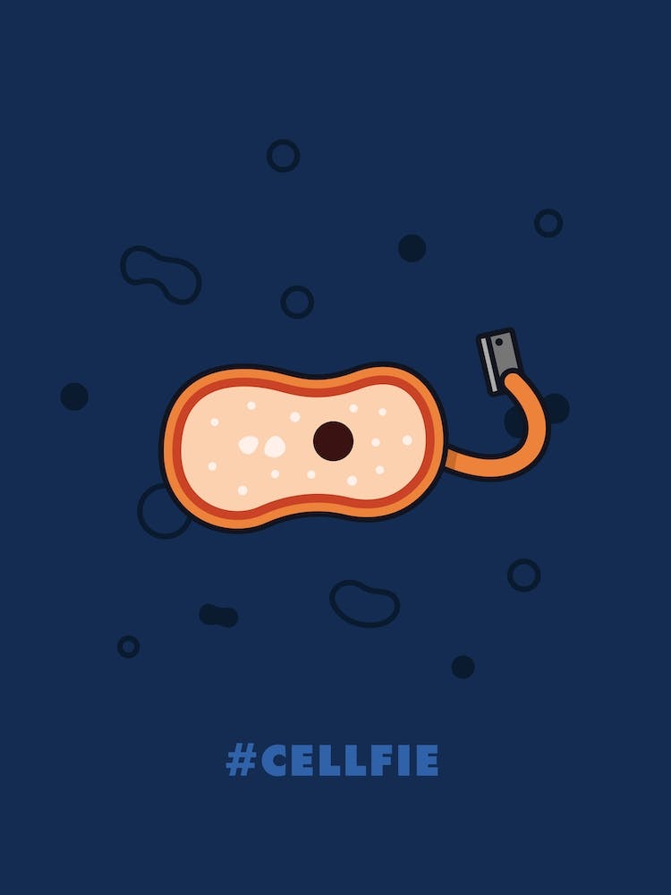 Cellfie