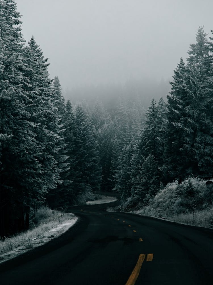 Dark Winter Road