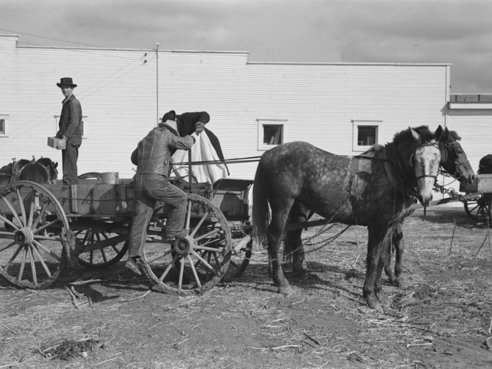 Untitled Photo, Possibly Related To Farmer Taking Milk To Milk Station, Eufaula, Oklahoma By Russell Lee