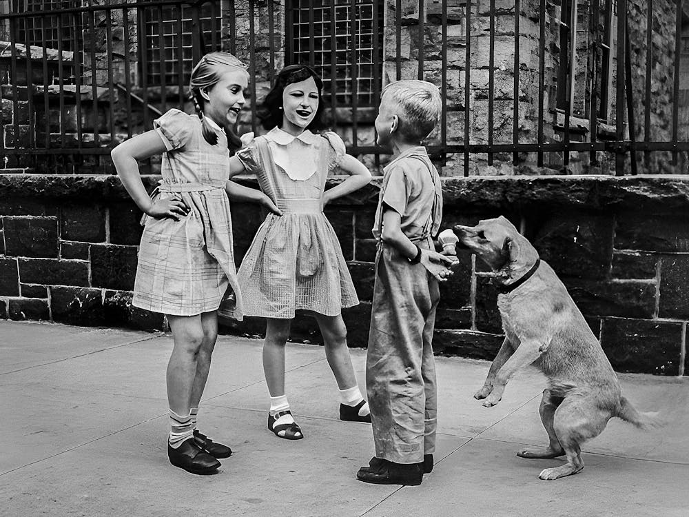 Children Playing With A Dog, Dog Eating Ice Cream, Black and White Vintage Old Photo