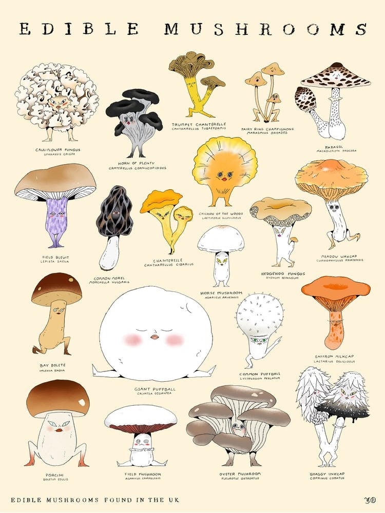 Edible Mushrooms