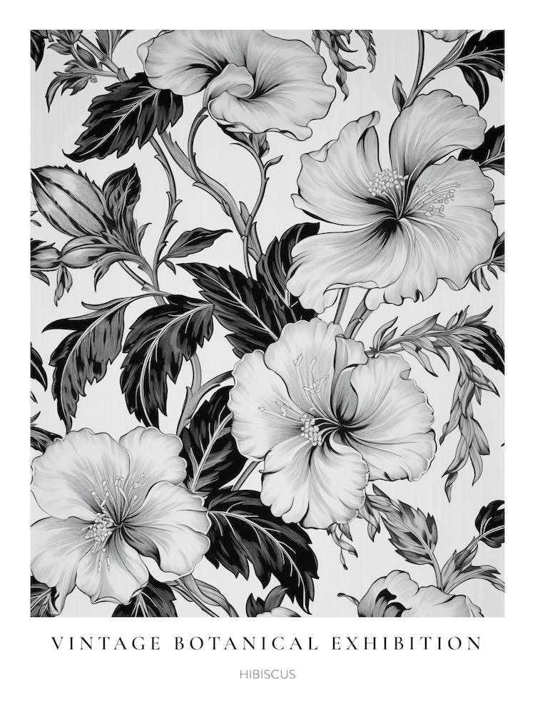 Hibiscus B&W Vintage Botanical Poster