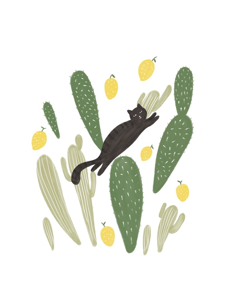 Cactus Black Cat