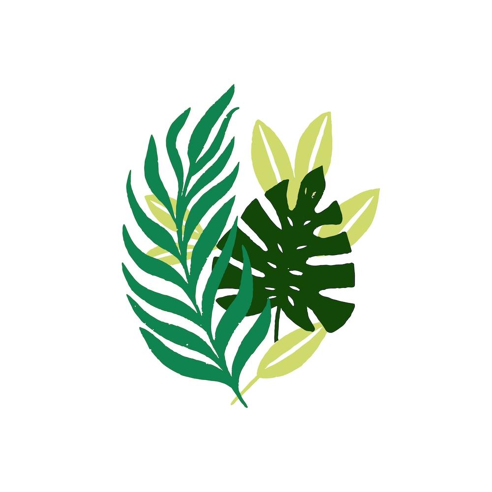 Simple Leaves Square