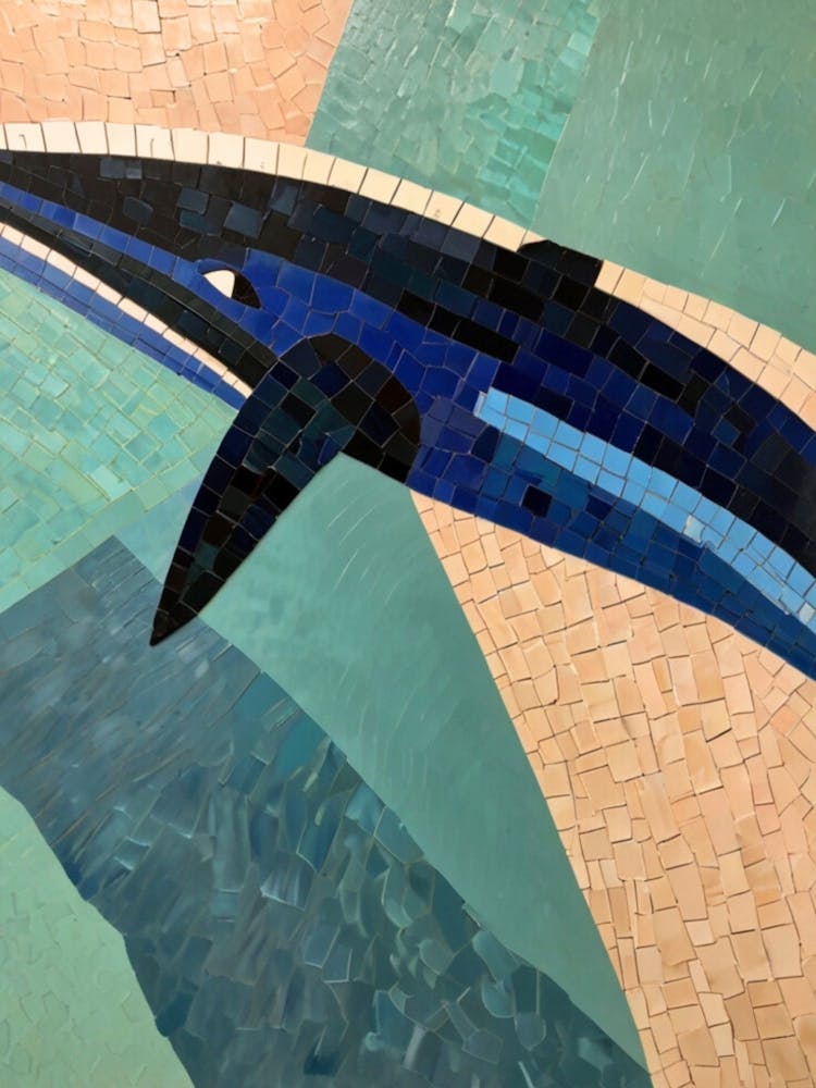 Whale Mosaic