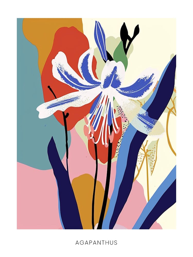 Farbenfrohes Blumenillustrations-Plakat Agapanthus 2