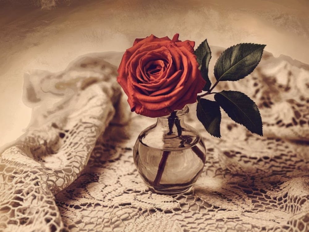Lace Wallpaper