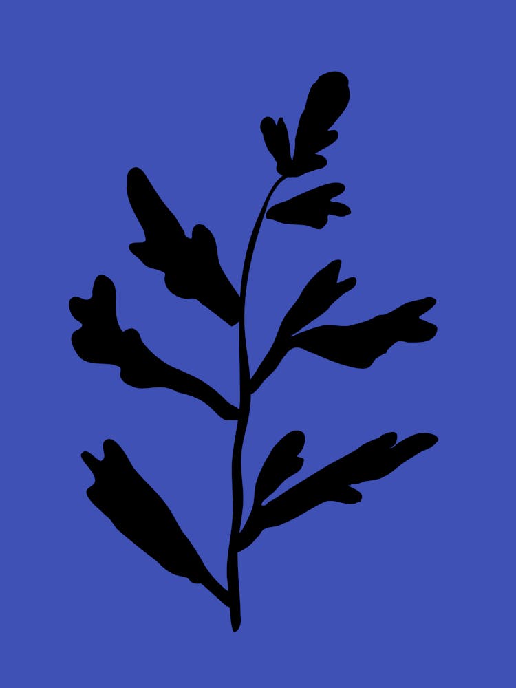 Black Leaf On Blue Background
