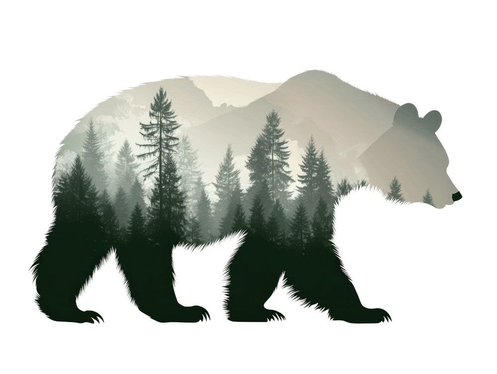 Animal Bear Forest Trees Nature