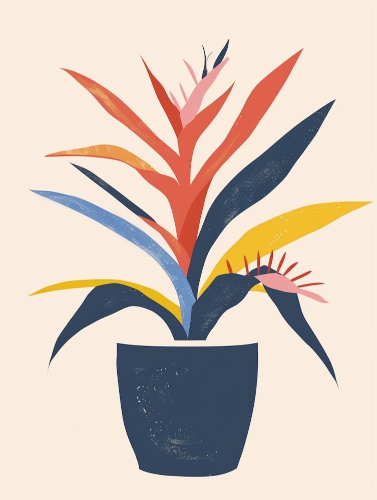 Bromeliad Plant Minimalist Illustration 7