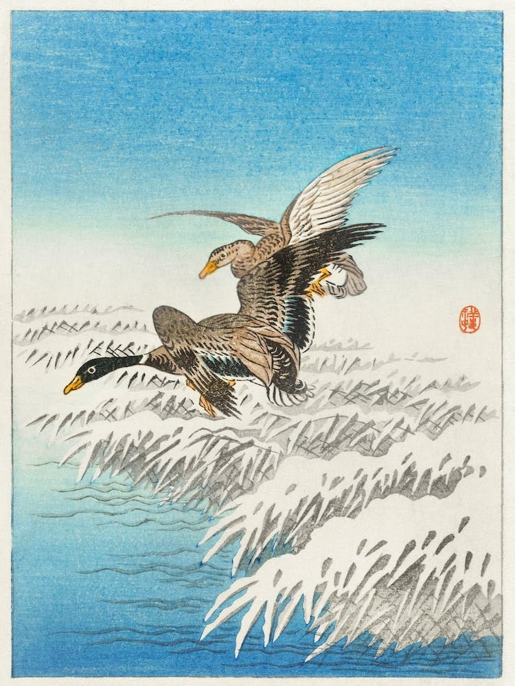 Pair Of Ducks Flying Over Snowy Reed, Ohara Koson Vintage Japanese