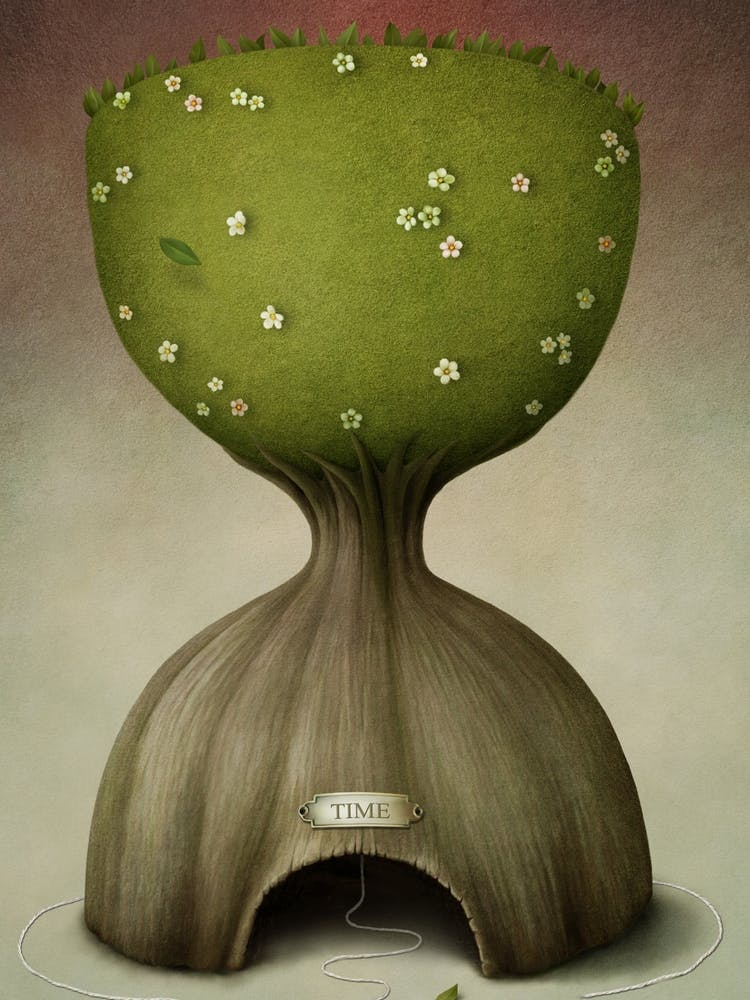 Tree Time illustration