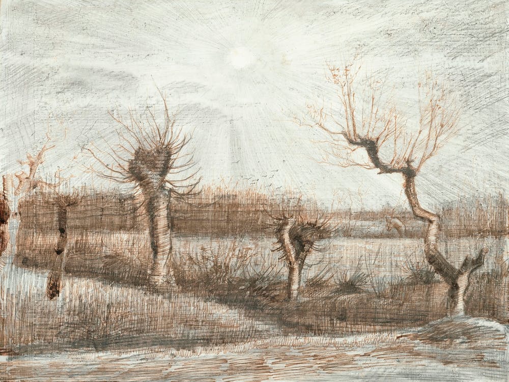 Tetards (Pollards) (1884), Vincent Van Gogh