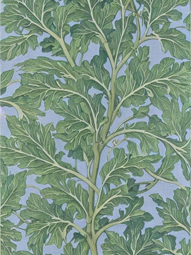 Pin Oak 2 tree Vintage Botanical