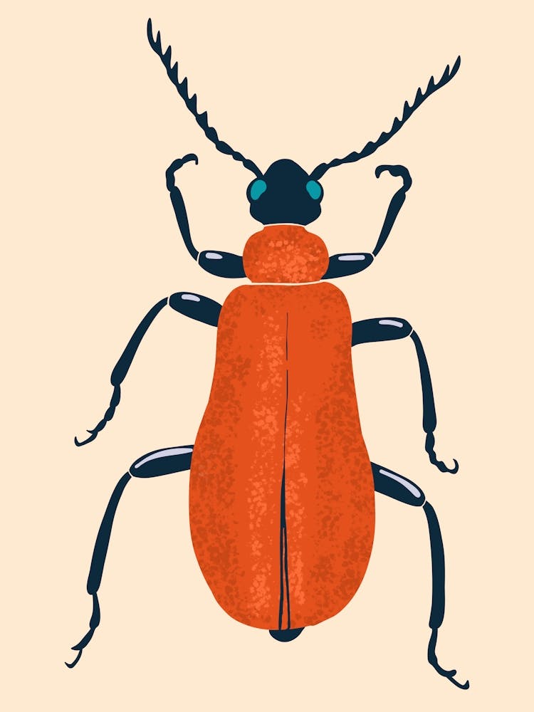 Tropical Bug Art