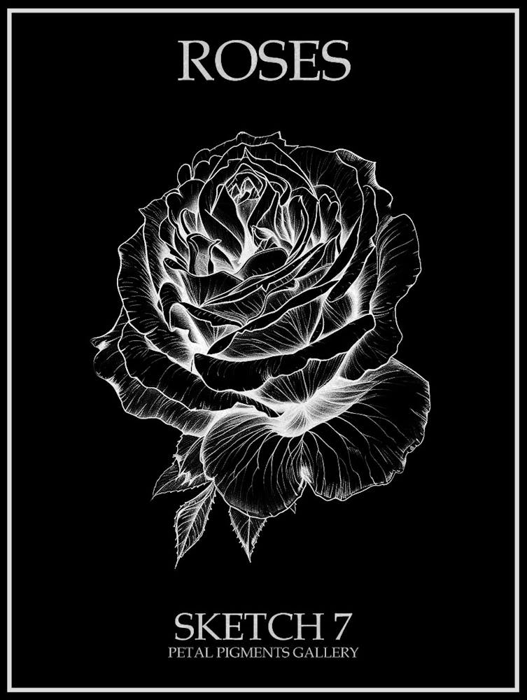 Roses Sketch 7 Poster Inverted