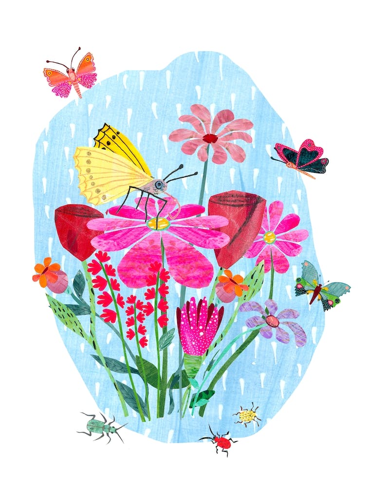 Butterflies And Blooms