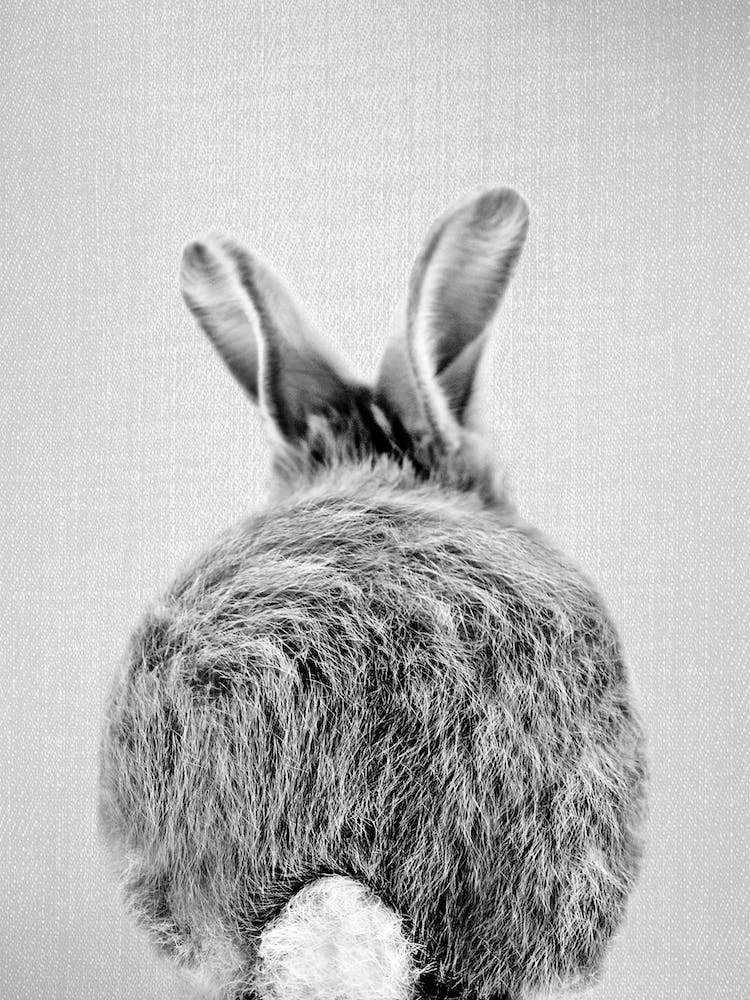 Baby Rabbit Tail - Black & White