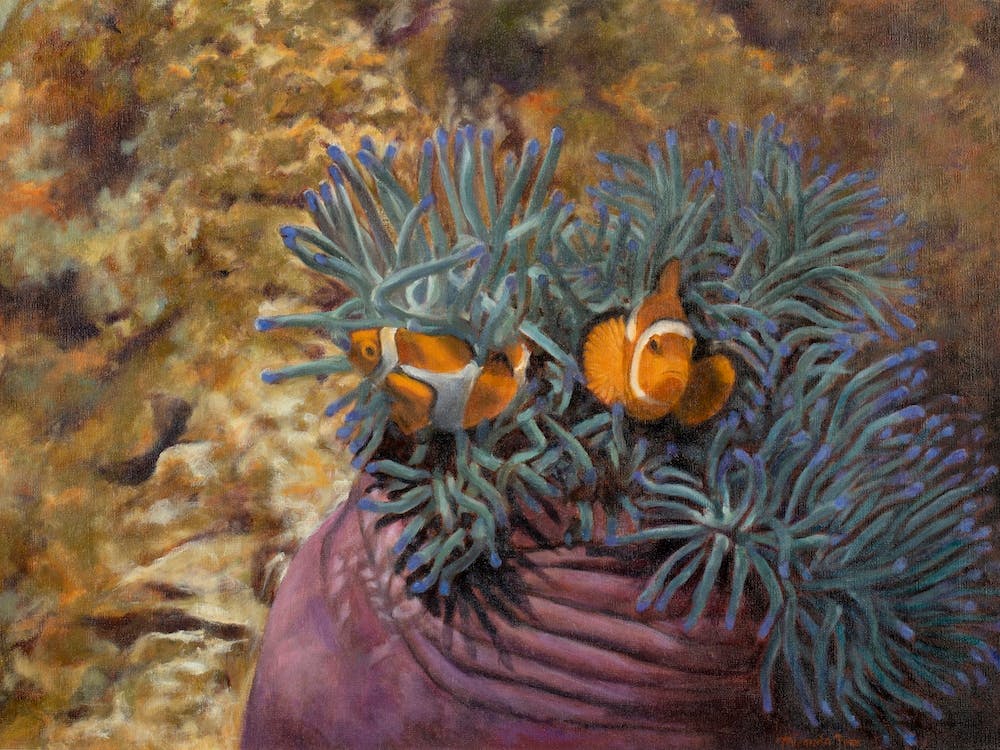 Amongst The Anemones