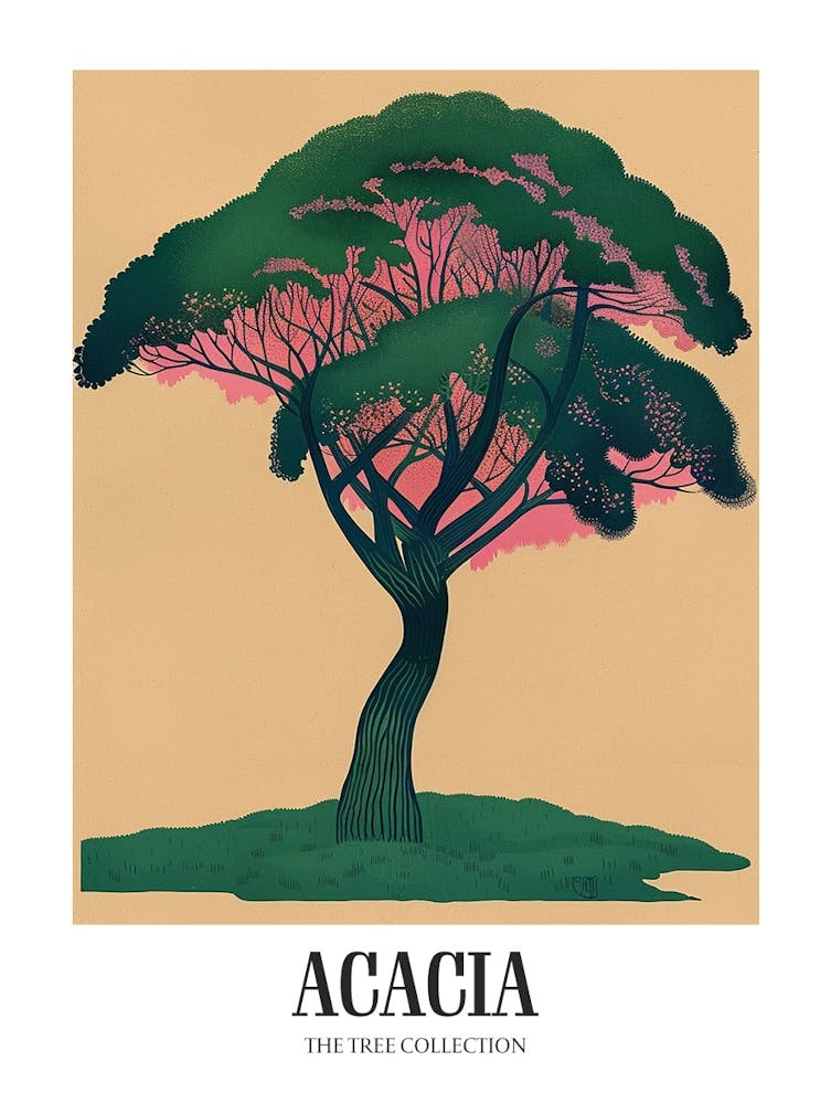 Acacia Tree Colourful Illustration 3 Poster
