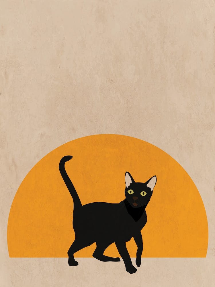 Cat Sunset