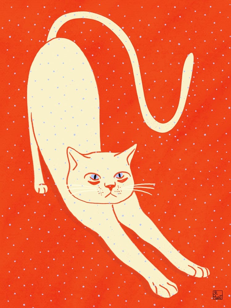 White Cat On Red Background